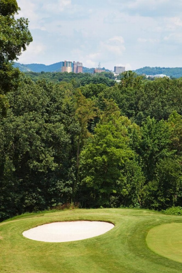 Crowne Plaza Resort Asheville image 25